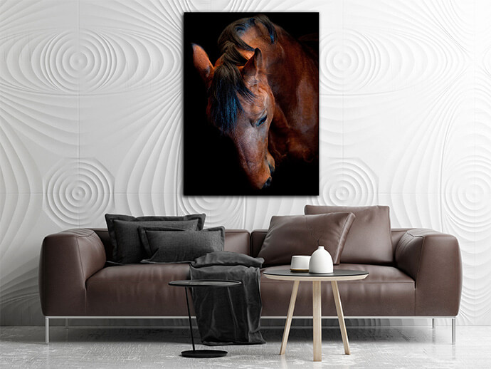 M6 Poritate 0018 Mockups1 P 0014 PRINT1 0021 5574290 russian trotter AOAY1723