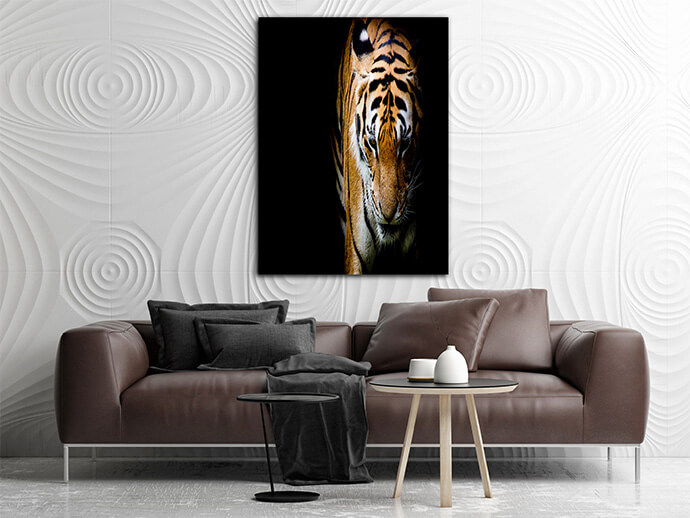 M6 Poritate 0022 Mockups1 P 0009 PRINT1 0001 15750924 tiger AOAY1743