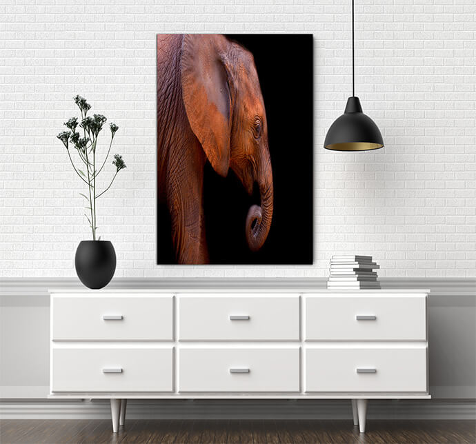 M7 Poritate 0000 Mockups1 P 0005 PRINT1 0005 15746356 baby elephant AOAY1739