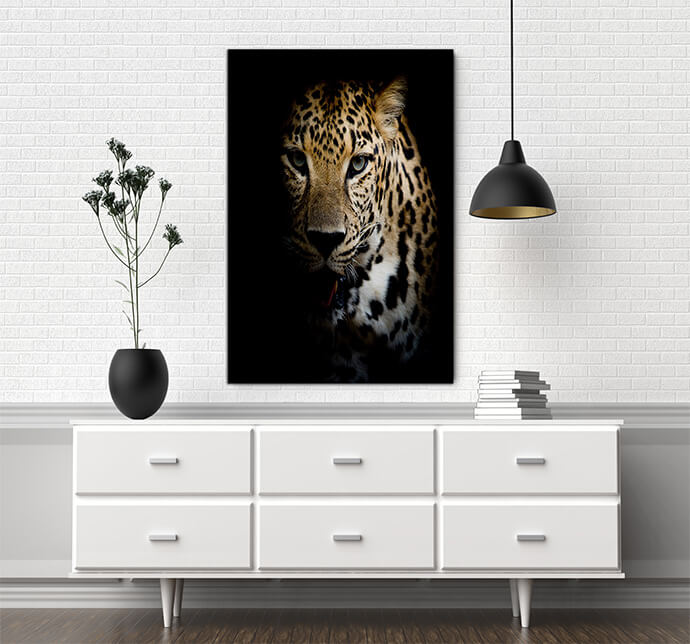M7 Poritate 0003 Mockups1 P 0002 PRINT1 0008 15742398 close up leopard portrait AOAY1736
