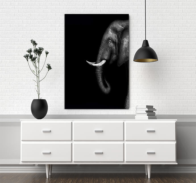 M7 Poritate 0012 Mockups1 P 0018 PRINT1 0017 8715522 artistic black and white elephant AOAY1727