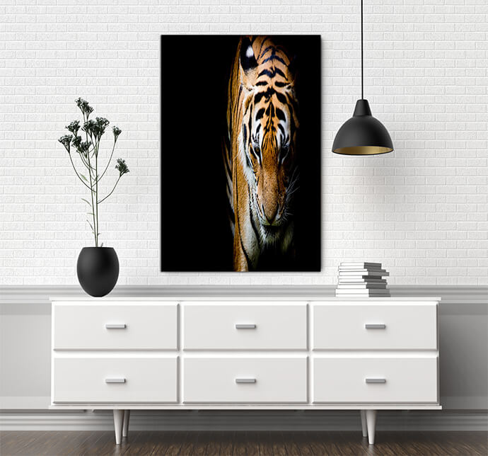 M7 Poritate 0021 Mockups1 P 0009 PRINT1 0001 15750924 tiger AOAY1743