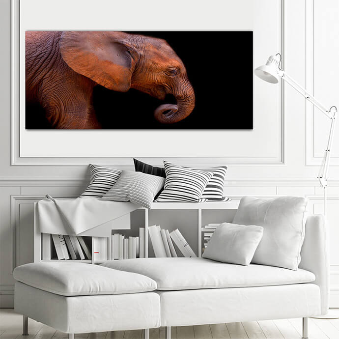 M8 Landscape 0000 Mockups1 P 0005 PRINT1 0005 15746356 baby elephant AOAY1739