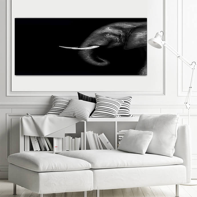 M8 Landscape 0012 Mockups1 P 0018 PRINT1 0017 8715522 artistic black and white elephant AOAY1727