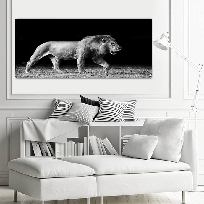 M8 Landscape 0014 Mockups1 P 0016 PRINT1 0019 8651204 lion In the Dark AOAY1725