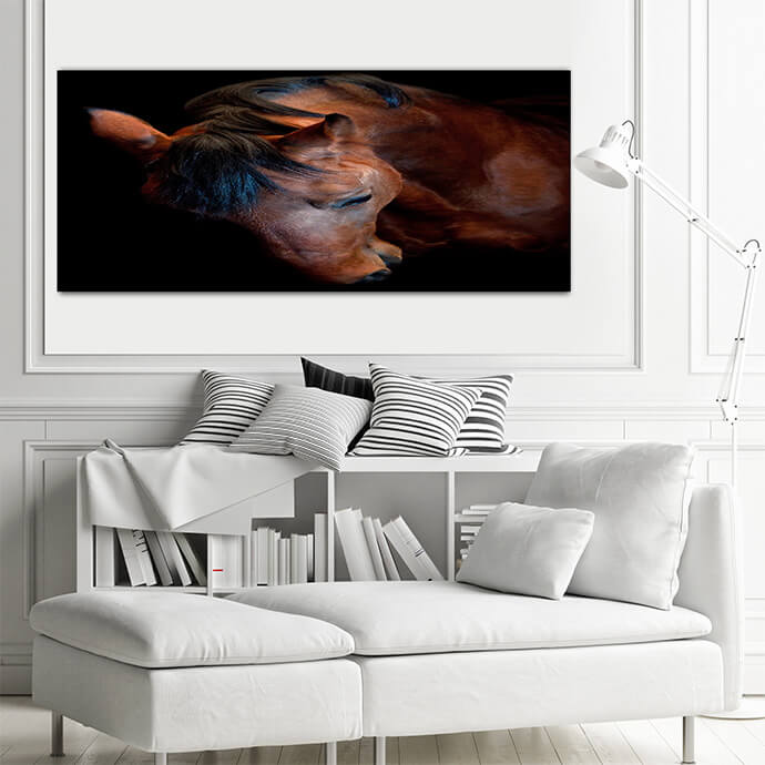 M8 Landscape 0016 Mockups1 P 0014 PRINT1 0021 5574290 russian trotter AOAY1723