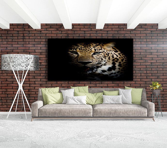 M9 Landscape 0005 Mockups1 P 0002 PRINT1 0008 15742398 close up leopard portrait AOAY1736
