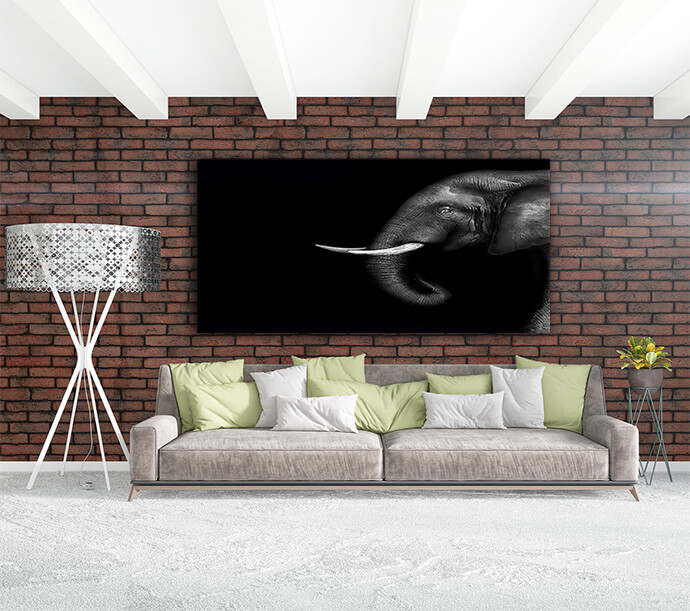 M9 Landscape 0014 Mockups1 P 0018 PRINT1 0017 8715522 artistic black and white elephant AOAY1727