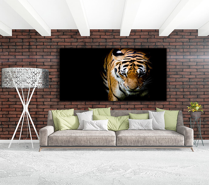 M9 Landscape 0023 Mockups1 P 0009 PRINT1 0001 15750924 tiger AOAY1743