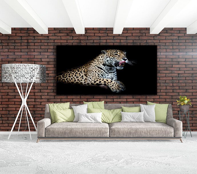 MM1 Landscape 0005 MOCKUPs2 Landscape 0009 22544846 leopard AOAY1755