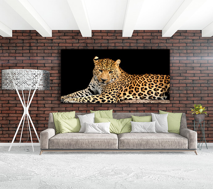 MM1 Landscape 0007 MOCKUPs2 Landscape 0007 22674794 leopard AOAY1757