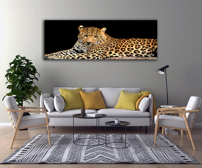 MM2 0006 MOCKUPs2 Landscape 0007 22674794 leopard AOAY1757