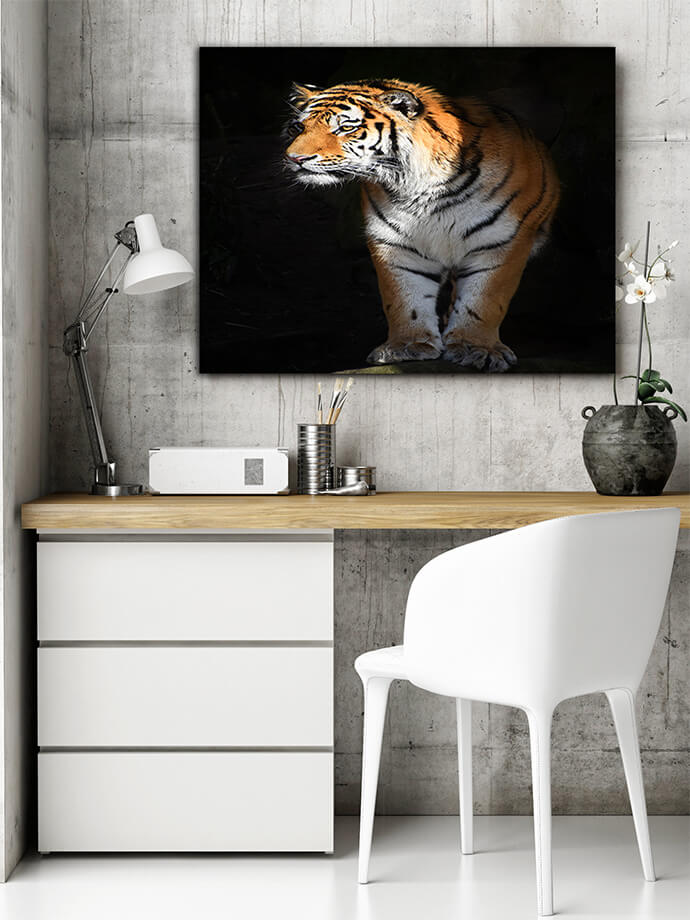MM3 0008 MOCKUPs2 Landscape 0006 24202920 siberian tiger looks out of the dark shadow AOAY1759