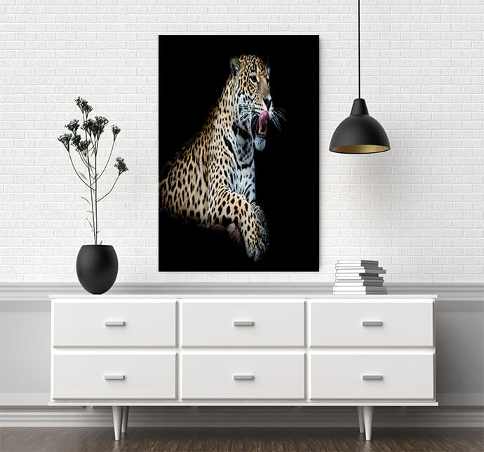 MM4 0004 MOCKUPs2 Landscape 0009 22544846 leopard AOAY1755