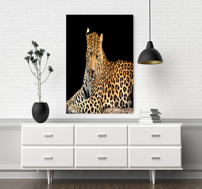 MM4 0006 MOCKUPs2 Landscape 0007 22674794 leopard AOAY1757