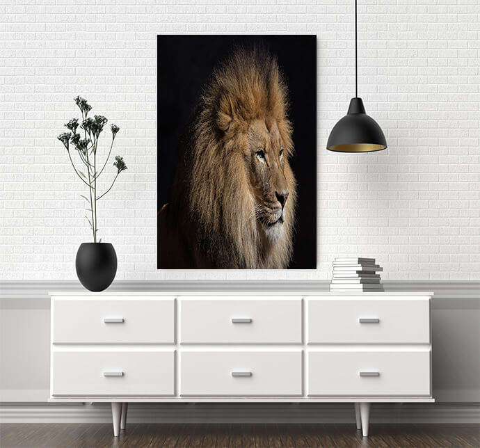 MM4 0018 MOCKUPs2 Landscape 0015 18913902 close up jaguar portrait AOAY1749