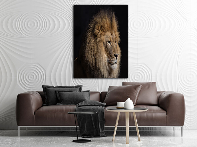 MM6 0000 MOCKUPs2 Landscape 0014 21332864 lion AOAY1750