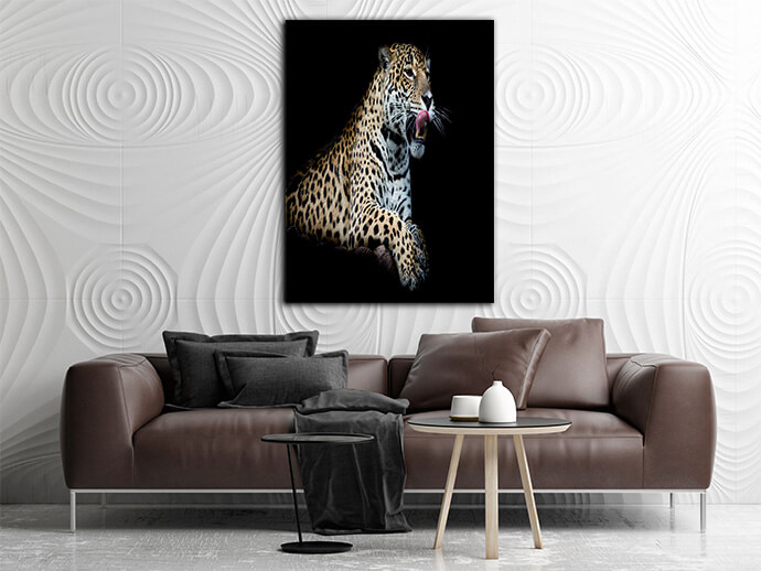 MM6 0005 MOCKUPs2 Landscape 0009 22544846 leopard AOAY1755