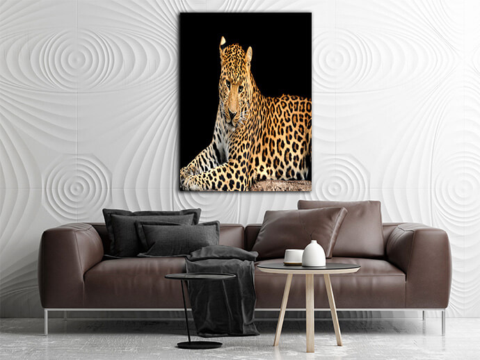MM6 0007 MOCKUPs2 Landscape 0007 22674794 leopard AOAY1757