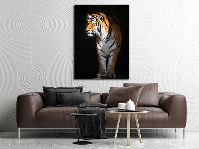 MM6 0008 MOCKUPs2 Landscape 0006 24202920 siberian tiger looks out of the dark shadow AOAY1759