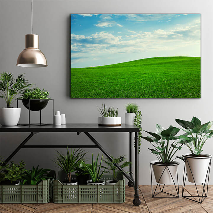M1 0000 MOCKups 0021 6421578 beautiful hill landscape AOAY1669