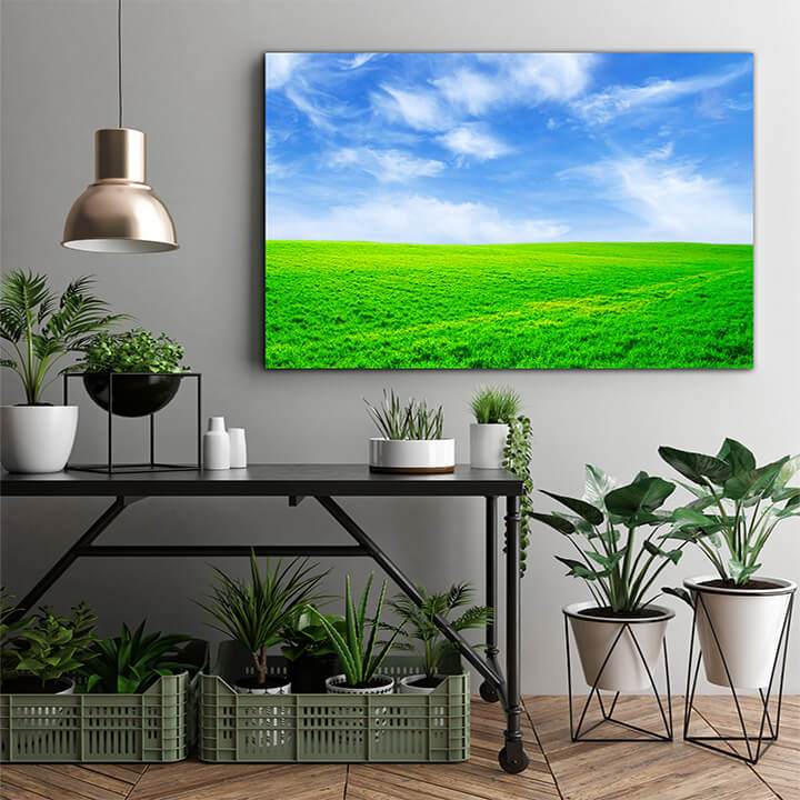 M1 0001 MOCKups 0027 4758930 field AOAY1663