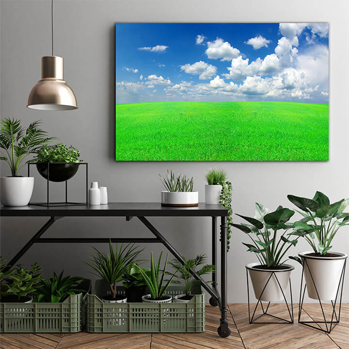 M1 0002 MOCKups 0026 4802506 field AOAY1664