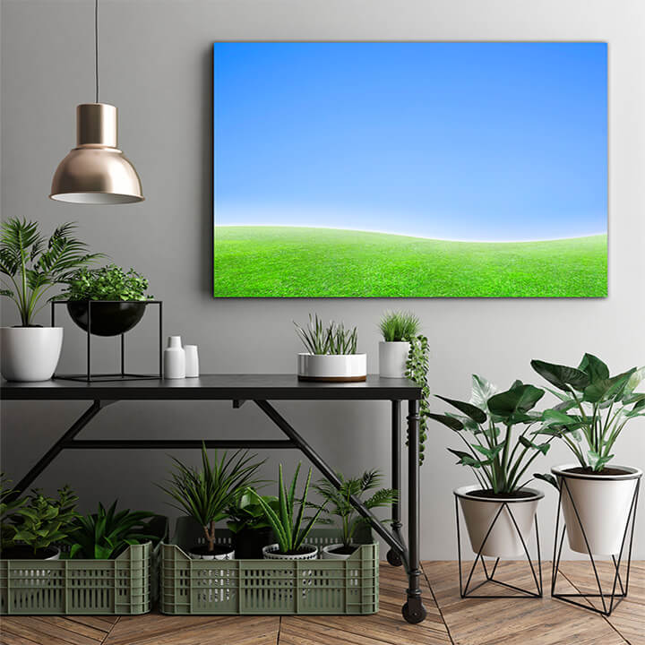 M1 0003 MOCKups 0032 240035 simple curved blue and green horizon background AOAY1658
