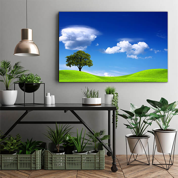 M1 0004 MOCKups 0031 2824011 tree on green field AOAY1659