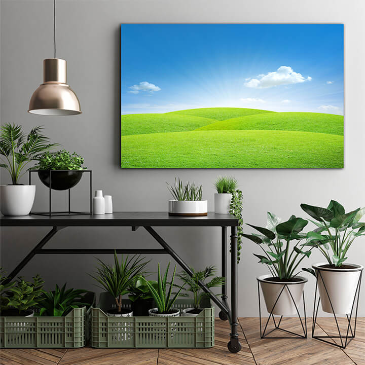 M1 0005 MOCKups 0030 3205173 green field with blue sky AOAY1660