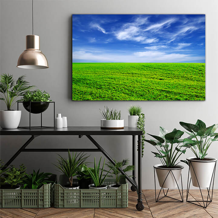 M1 0008 MOCKups 0025 5409092 field AOAY1665