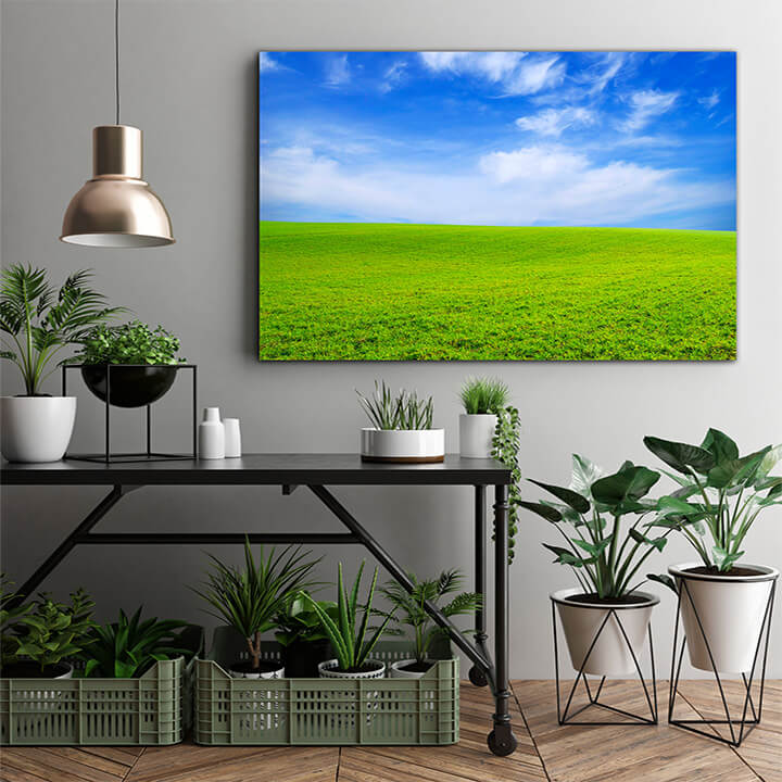 M1 0011 MOCKups 0022 6215636 field AOAY1668