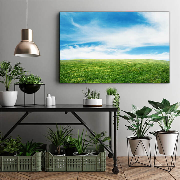 M1 0013 MOCKups 0002 31400590 grass and sky AOAY1687