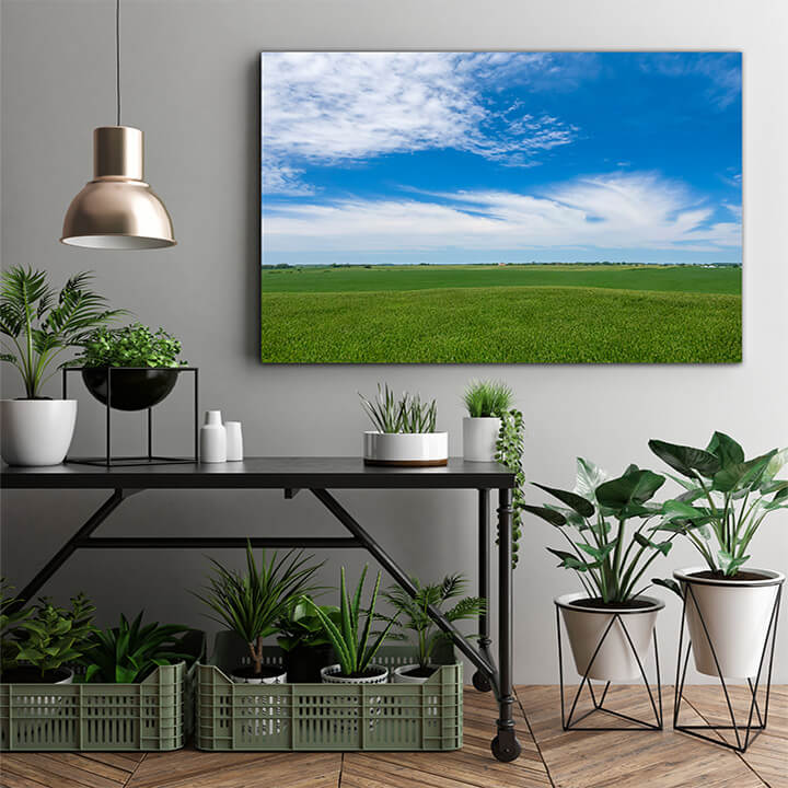 M1 0026 MOCKups 0000 33213558 view of a green field of young corn in the american midwest AOAY1689
