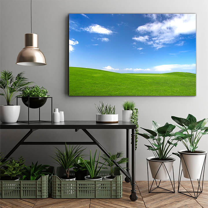 M1 0027 MOCKups 0034 30825 green field AOAY1690