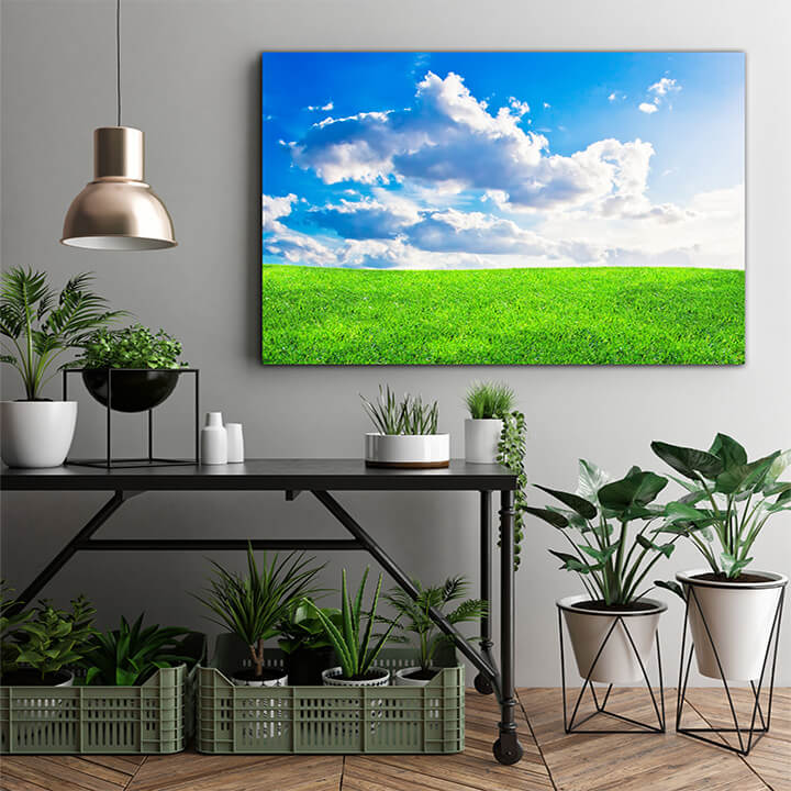 M1 0029 MOCKups 0020 6446694 green meadow AOAY1670