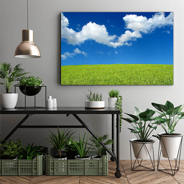 M1 0030 MOCKups 0019 8223366 field and sky landscape AOAY1671