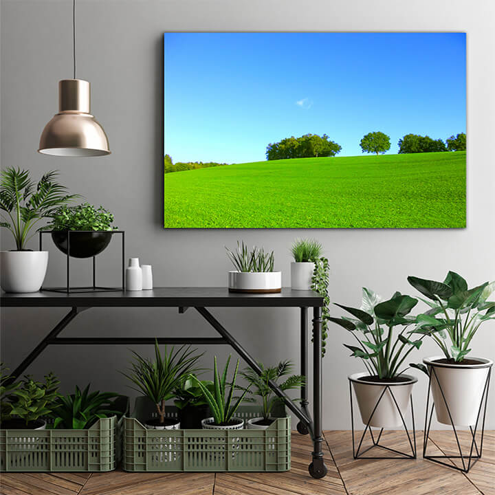 M1 0031 MOCKups 0018 14798430 summer AOAY1672