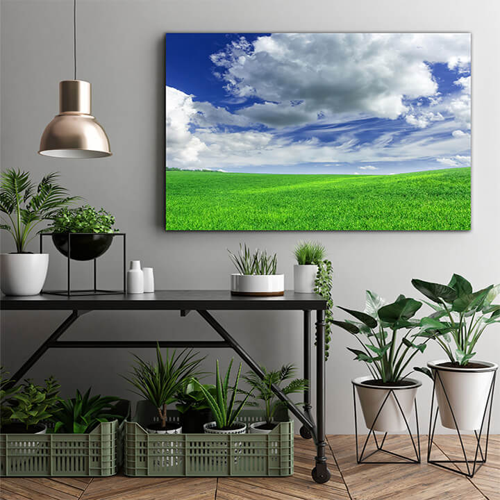 M1 0033 MOCKups 0016 17806908 green field AOAY1674