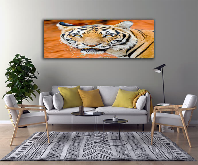 M2 0009 MOCKups 0020 Print Landscape 0027 15726562 tiger portrait of a bengal tiger AOAY1692