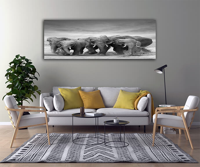 M2 0020 MOCKups 0009 Print Landscape 0009 22675822 elephant AOAY1710