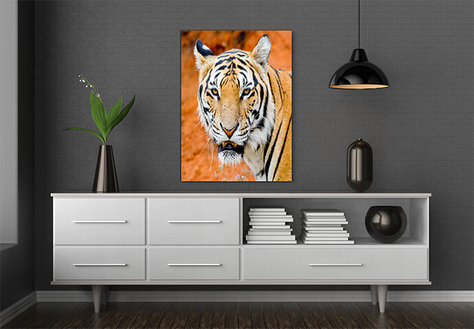 M3 0009 MOCKups 0020 Print Landscape 0027 15726562 tiger portrait of a bengal tiger AOAY1692