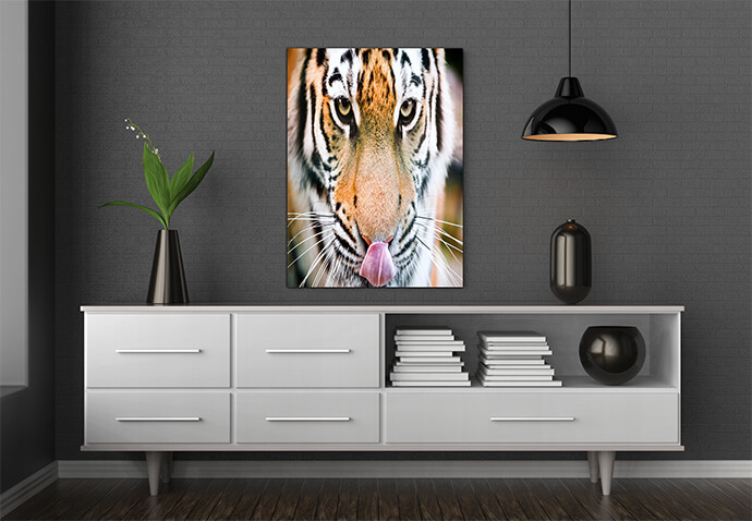 M3 0010 MOCKups 0019 Print Landscape 0028 6754622 tiger AOAY1691