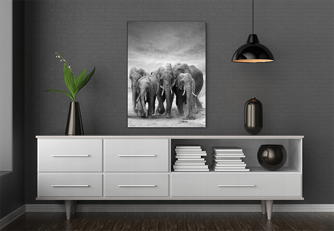 M3 0020 MOCKups 0009 Print Landscape 0009 22675822 elephant AOAY1710