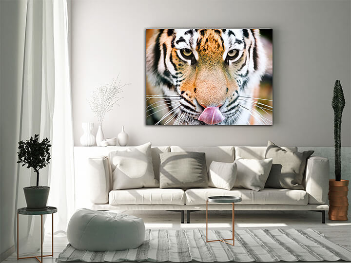 M4 0006 MOCKups 0019 Print Landscape 0028 6754622 tiger AOAY1691