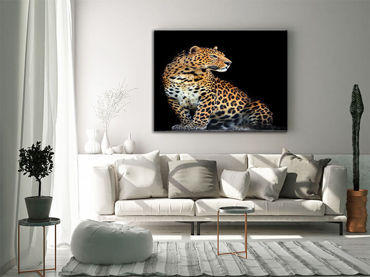 M4 0009 MOCKups 0016 Print Landscape 0002 22676022 leopard portrait on dark background AOAY1717