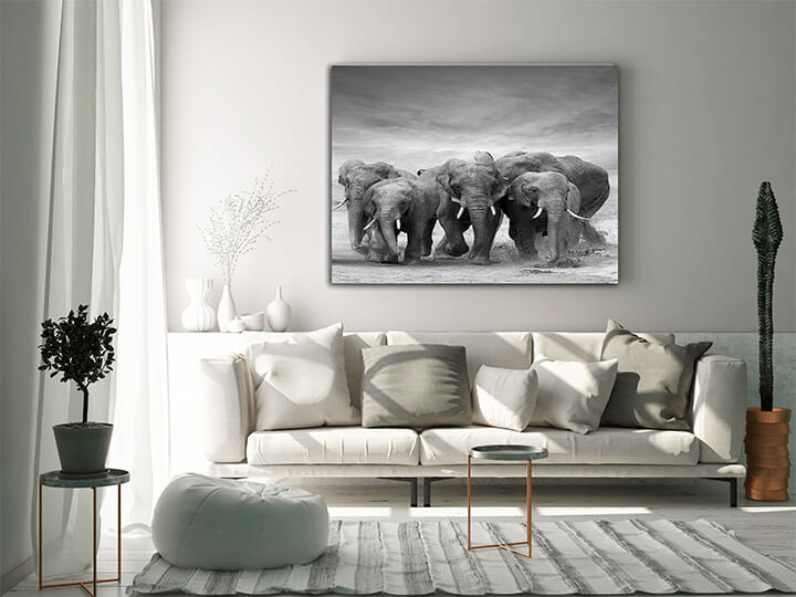 M4 0016 MOCKups 0009 Print Landscape 0009 22675822 elephant AOAY1710