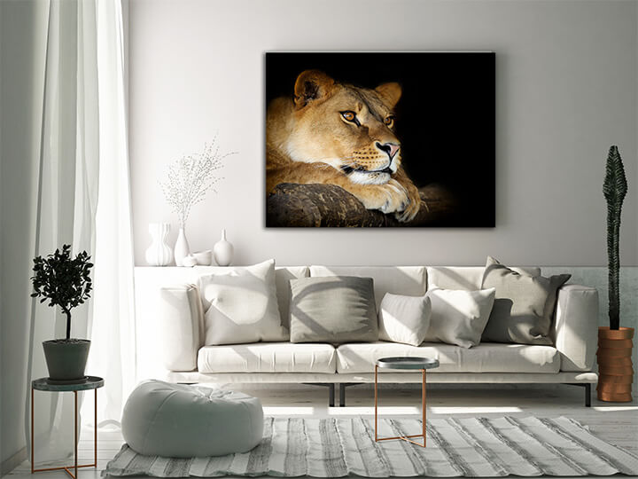 M4 0019 MOCKups 0006 Print Landscape 0012 22675756 lion on dark AOAY1707
