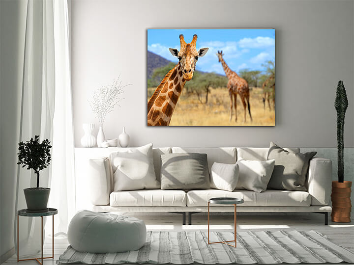 M4 0026 MOCKups 0028 Print Landscape 0019 22675664 giraffe AOAY1700