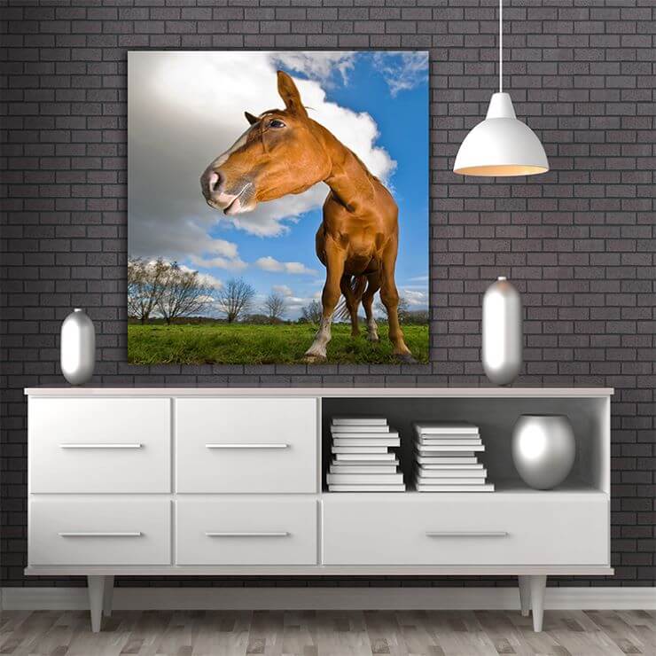M6 0002 MOCKUP Portriate 0001 Print 0023 1316957 horse looking to the left wide angle AOAY1327